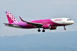 マ*ー様 Peach A320neo JA201P 少々難あり Amazon | Peachオリジナル A320neo JA201P 飛行機模型 プレーン