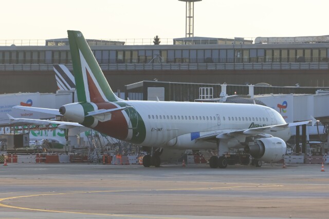 アリタリア航空A I R B U S  Ａ319 アリタリア航空 機材一覧 エアバスA319 | FlyTeam(フライチーム)