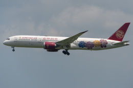吉祥航空 B787-9 『原神号』特別塗装 JC Wings 1/400 吉祥航空 B787-9 『原神号』特別塗装 JC Wings 1/400 - メルカリ
