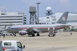 チェコ空軍 エアバスA319 航空フォト(飛行機 写真・画像