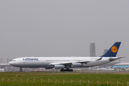 航空フォト：D-AIGV ルフトハンザドイツ航空 A340-300