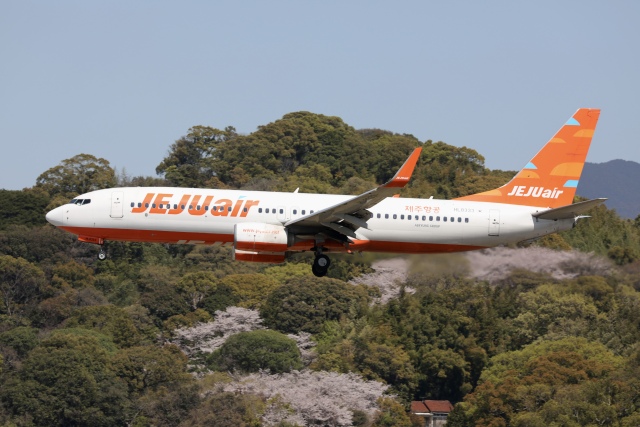 チェジュ航空 機材一覧 ボーイング737-800 | FlyTeam(フライチーム)
