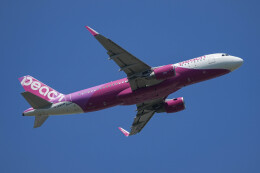 円周率さんが、成田国際空港で撮影したピーチ A320-214の航空フォト（飛行機 写真・画像）