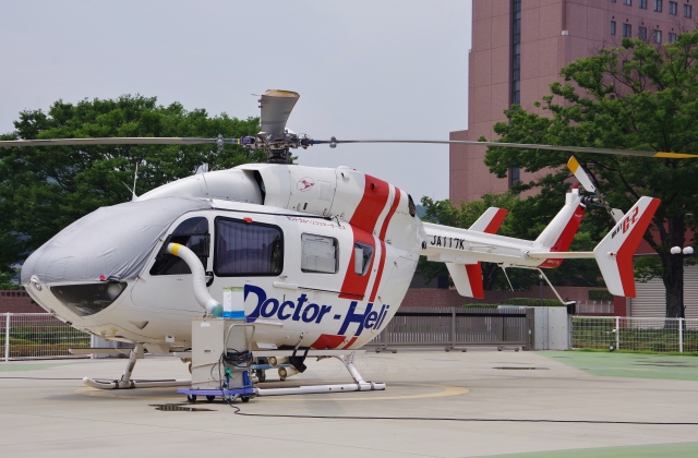 ロイズ・アンティークス　Airplane Photo B 壁掛け  飛行機 額縁 ロイズ・アンティークス Airplane Photo B 壁掛け 飛行機 額縁