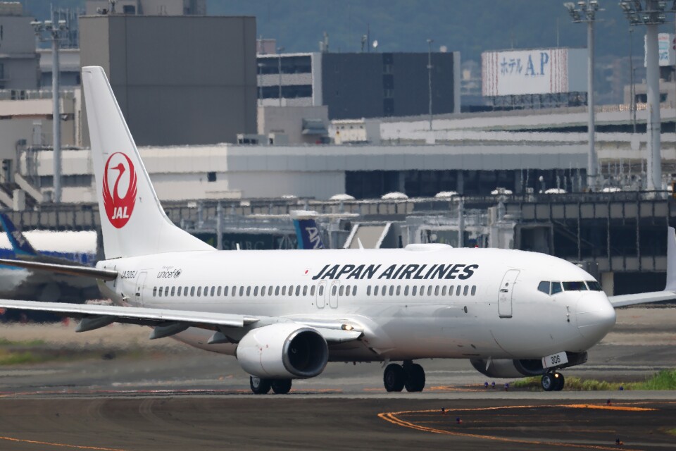 JAL B737-800 JA306J 北海道 Amazon | JAL B737-800 JA306J 北海道 | プラモデル 通販