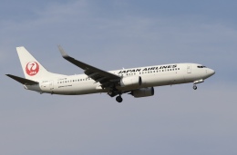 ひこ金太郎さんが、成田国際空港で撮影した日本航空 737-846の航空フォト（飛行機 写真・画像）
