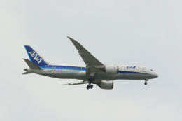ボーイング787-8 ドリームライナー 製造番号:34496/199 徹底