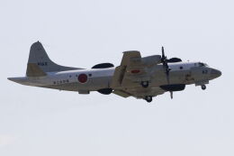 海上自衛隊P-3CORION P-3C 海上自衛隊 第4航空群 第3航空隊 『ネプチューン』 (完成品