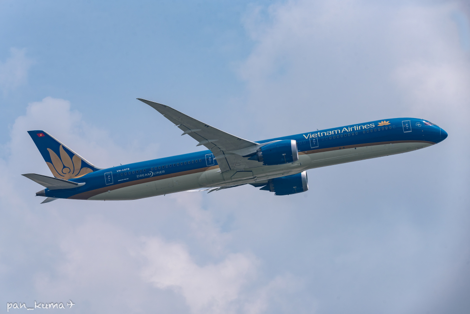 ベトナム航空 Boeing 787-10 VN-A878 成田国際空港 航空フォト
