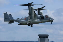 クマスケ様 アメリカ海兵隊 Lockheed Martin C-130 Hercules Lockheed