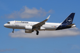 航空フォト：D-AINY ルフトハンザドイツ航空 A320neo