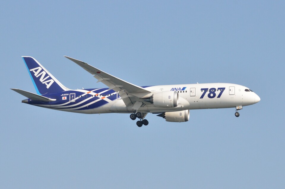 全日空 BOEING 787-8 JA801A ドリームライナー 全日空 Boeing 787-8 Dreamliner JA801A 羽田空港 航空フォト