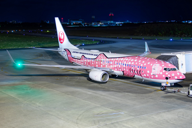 2代目 さくらジンベエジェット」特別塗装機 日本トランス