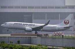 航空機・ヘリコプター JAL Boeing737-800 JA301J JAPAN AIRLINES (JA301J) のために Microsoft Flight Simulator