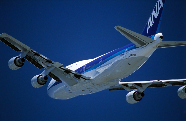 機体記号 : JA8099 (ANA) 航空フォト(飛行機 写真・画像