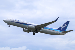 航空フォト：JA78AN 全日空 737-800