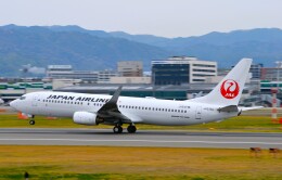 amagoさんが、伊丹空港で撮影した日本航空 737-846の航空フォト（飛行機 写真・画像）