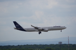 JA8037さんが、フランクフルト国際空港で撮影したルフトハンザドイツ航空 A340-313Xの航空フォト（飛行機 写真・画像）