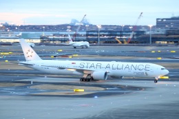 スターアライアンス (ホワイト)」特別塗装機 シンガポール航空