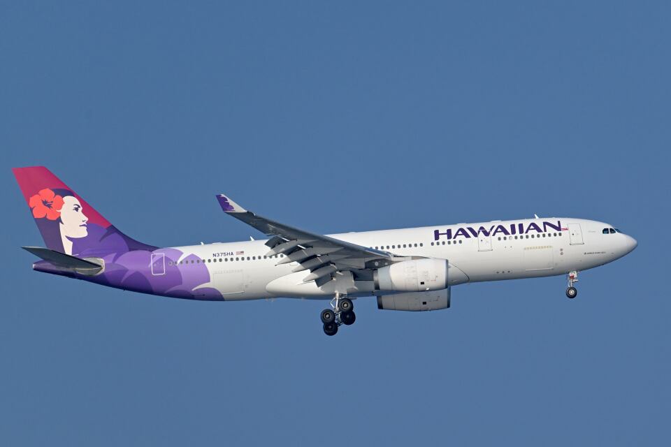 ハワイアン航空 Airbus A330-200 N375HA 羽田空港 航空フォト