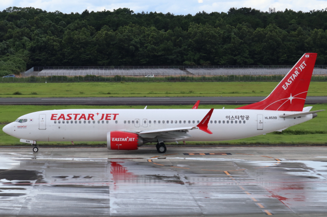 イースター航空 機材一覧 ボーイング737 MAX 8 | FlyTeam(フライ
