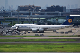 ikeyamaさんが、羽田空港で撮影したルフトハンザドイツ航空 747-830の航空フォト（飛行機 写真・画像）
