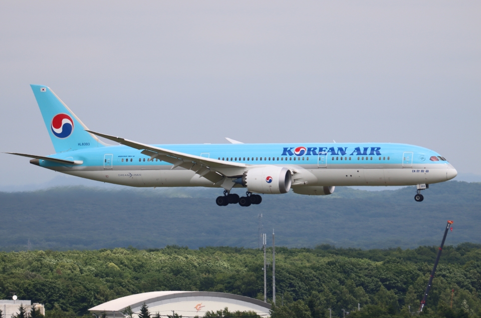 大韓航空 カチューシャ 大韓航空 カチューシャ ブルーの通販 by SUNY｜ラクマ