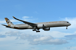 エティハド航空 機材一覧 エアバスA350-1000 | FlyTeam(フライ