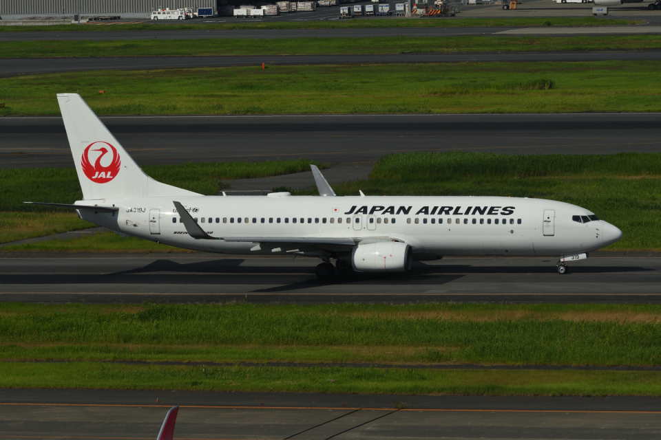 【通常塗装】JAL 日本航空 737-800 JA317J 通常塗装】JAL 日本航空 737-800 JA317J ph 1/400 - メルカリ