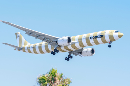 航空フォト：D-ANRQ コンドル A330-900