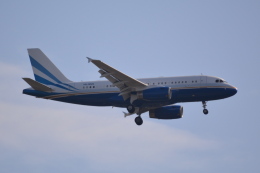 LEGACY-747さんが、成田国際空港で撮影したラスベガス サンズ A319-133CJの航空フォト（飛行機 写真・画像）