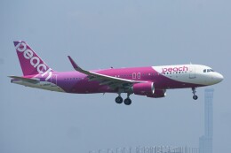 ふうちゃんさんが、関西国際空港で撮影したピーチ A320-214の航空フォト（飛行機 写真・画像）