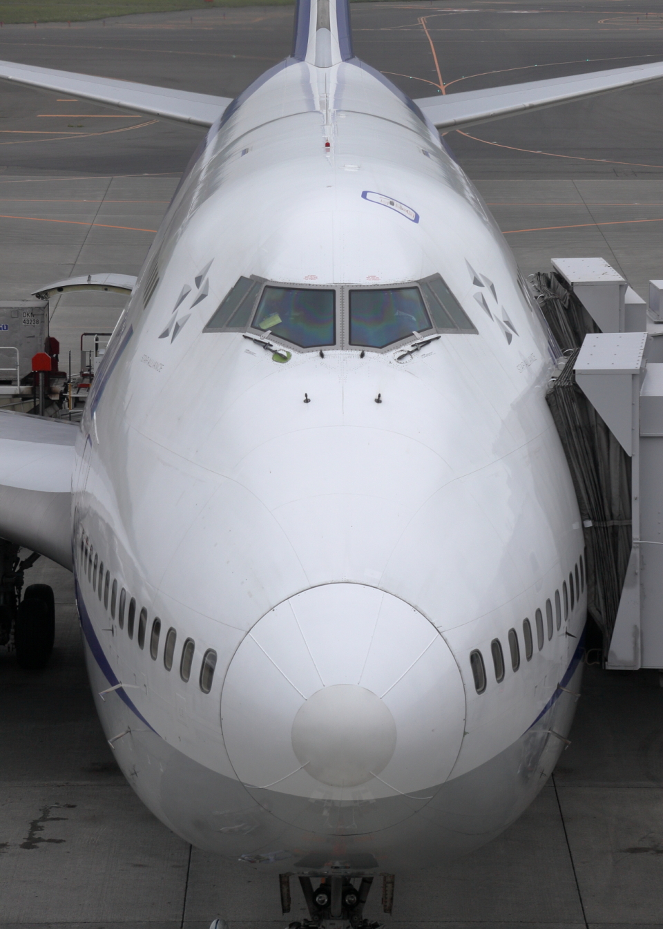 全日空 Boeing 747-400 JA8965 新千歳空港 航空フォト | by