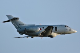DONKEYさんが、新田原基地で撮影した航空自衛隊 U-125A(Hawker 800)の航空フォト（飛行機 写真・画像）