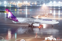 航空フォト：N393HA ハワイアン航空 A330-200