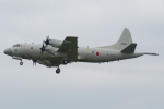 厚木飛行場の撮影スポット「RW01公園の中」で撮影された飛行機の写真です。