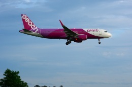 SIOUX13さんが、仙台空港で撮影したピーチ A320-214の航空フォト（飛行機 写真・画像）