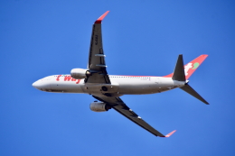 タイ国際航空Ａ300-600 タイ国際航空 Airbus A300-600 HS-TAY スワンナプーム国際空港