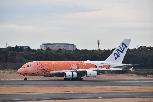 フライングホヌ ラー/3号機」特別塗装機 全日空 (A380 | JA383A