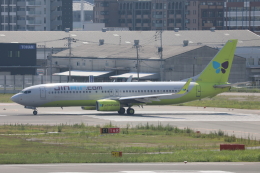 myoumyoさんが、福岡空港で撮影したジンエアー 737-8SHの航空フォト（飛行機 写真・画像）