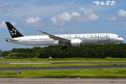 エバー航空 787-10 B-17812 スターアライアンス塗装 1/200 お取り寄せ商品】1/200 A321 エバー航空「スターアライアンス