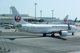 JTA B737-800 JA11RK 沖縄県×JTA Amazon.co.jp: JTA B737-800 JA11RK 沖縄県×JTA : おもちゃ