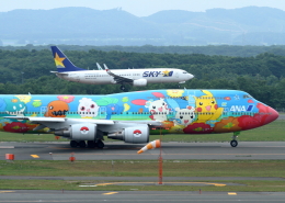 全日空商事 ANA B747-400D JA8956 お花ジャンボ 1/400 ANA B747-400D JA8956 ポケモンお花ジャンボ 1/500 - メルカリ