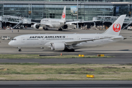 CL&CLさんが、羽田空港で撮影した日本航空 787-8 Dreamlinerの航空フォト（飛行機 写真・画像）