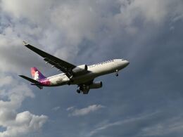 notregretさんが、福岡空港で撮影したハワイアン航空 A330-243の航空フォト（飛行機 写真・画像）