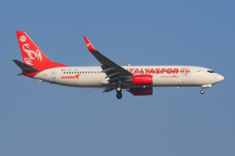 航空フォト：TC-TJY コレンドン・エアラインズ 737-800