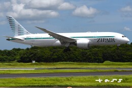 ボーイング787-8 ドリームライナー 製造番号:34837/38 徹底