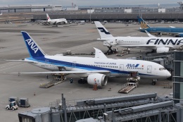 ボーイング787-8 ドリームライナー 製造番号:34496/199 徹底