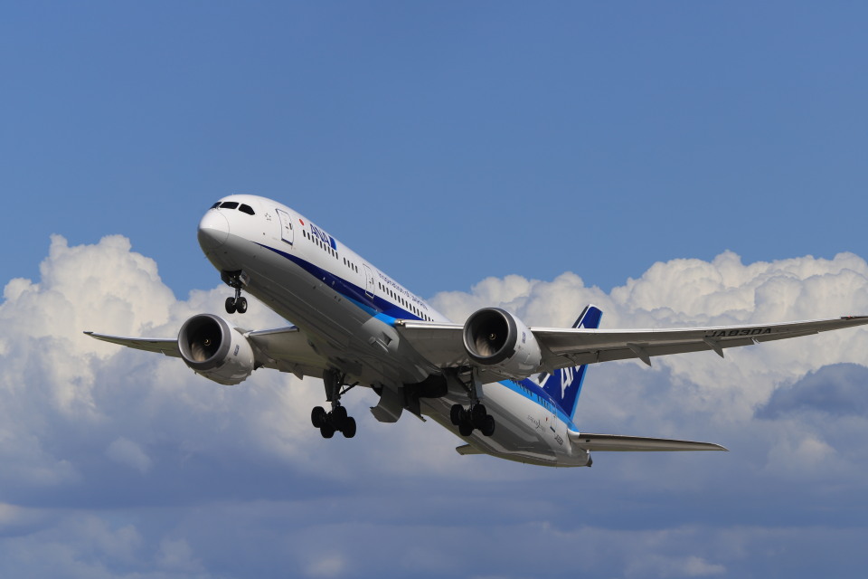 全日空 Boeing 787-9 JA830A 伊丹空港 航空フォト | by
