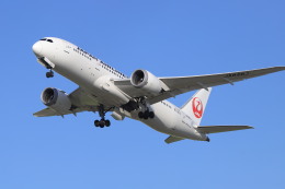 機体記号 : JA846J (JAL) 航空機体ガイド | FlyTeam(フライチーム)